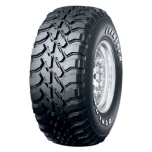 Dunlop Grandtrek MT1
